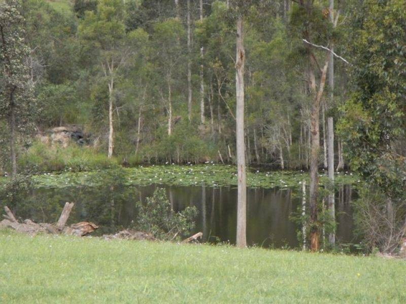 L47 Forest Ridge Drive, Tamaree QLD 4570