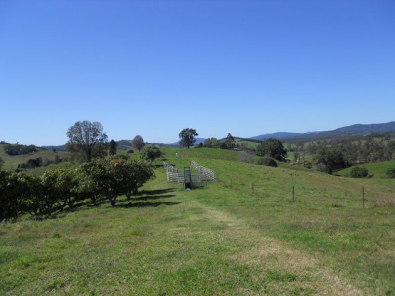 385 Diamondfield Road, Kandanga QLD 4570