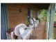 30 York Street, Imbil QLD 4570