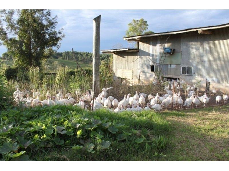 274 Neusavale Road, Wolvi QLD 4570