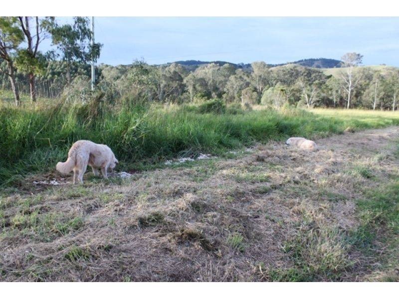 274 Neusavale Road, Wolvi QLD 4570