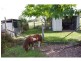234 Jimbour Road, The Palms QLD 4570