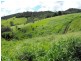 Glastonbury QLD 4570