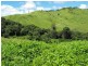 Glastonbury QLD 4570