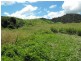 Glastonbury QLD 4570