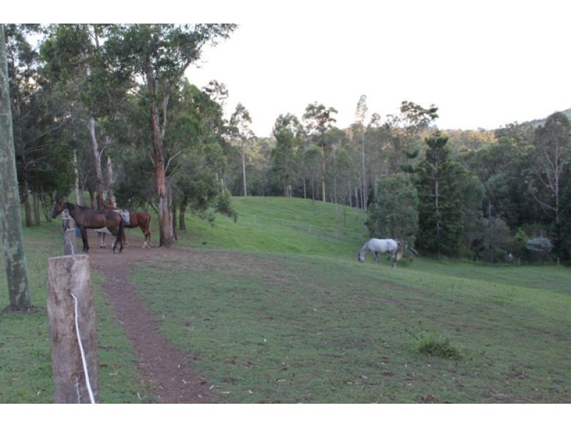874 McIntosh Creek Road, Calico Creek QLD 4570