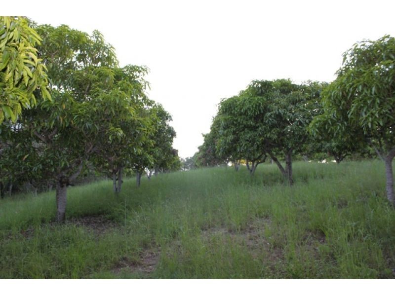 874 McIntosh Creek Road, Calico Creek QLD 4570