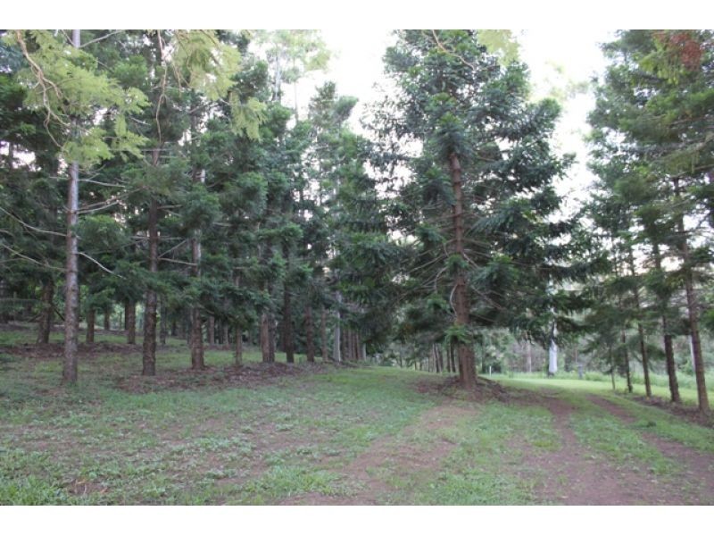 874 McIntosh Creek Road, Calico Creek QLD 4570