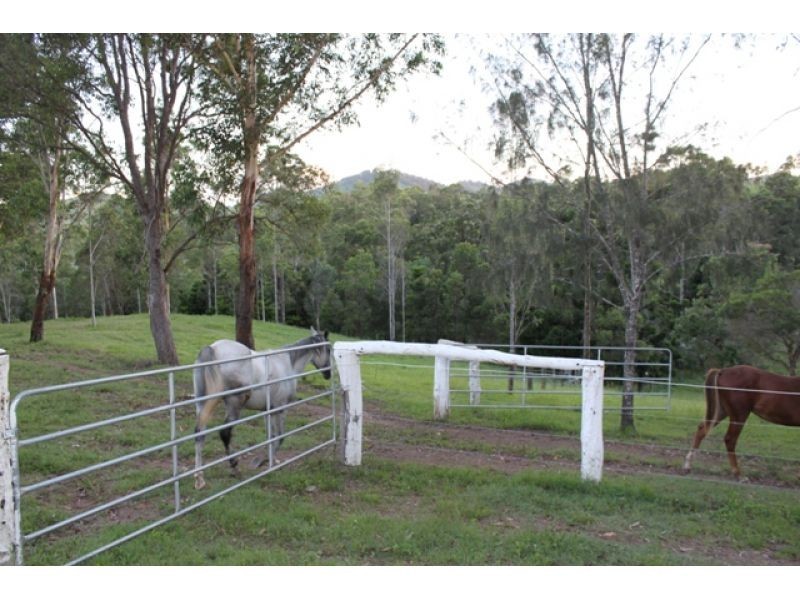 874 McIntosh Creek Road, Calico Creek QLD 4570