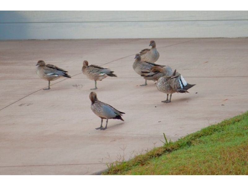 2 Suncrest Court, Southside QLD 4570