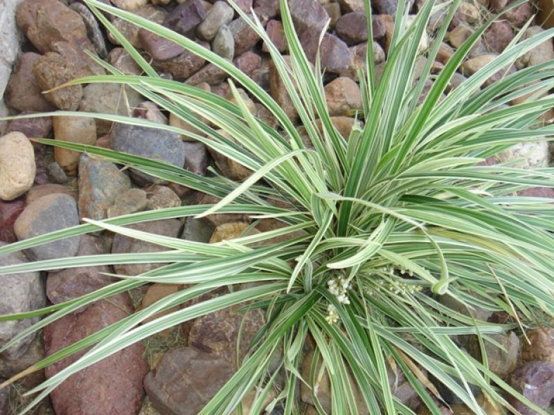 11 Parkview Close, Southside QLD 4570