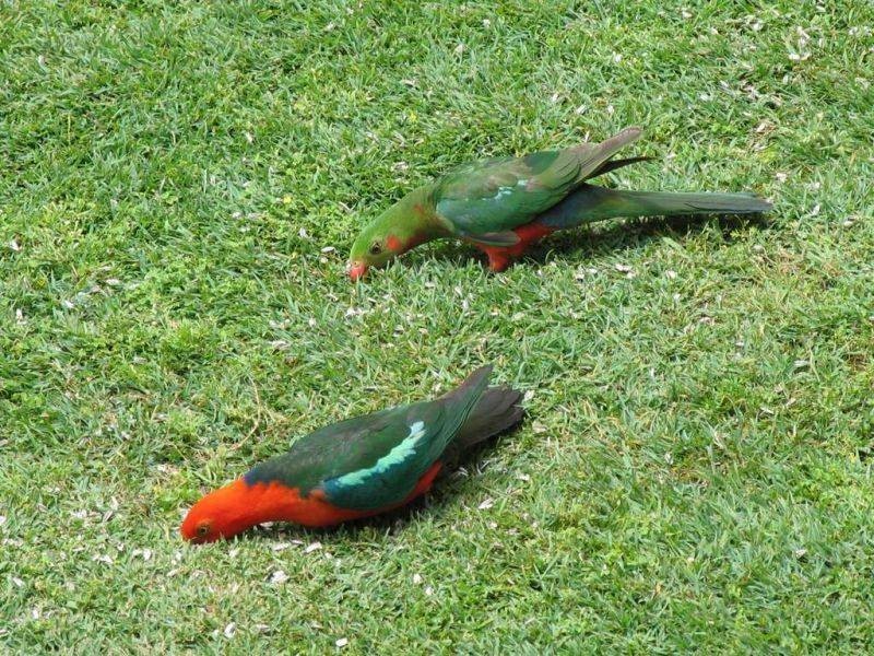 4 Smith Street, Yarraman QLD 4614