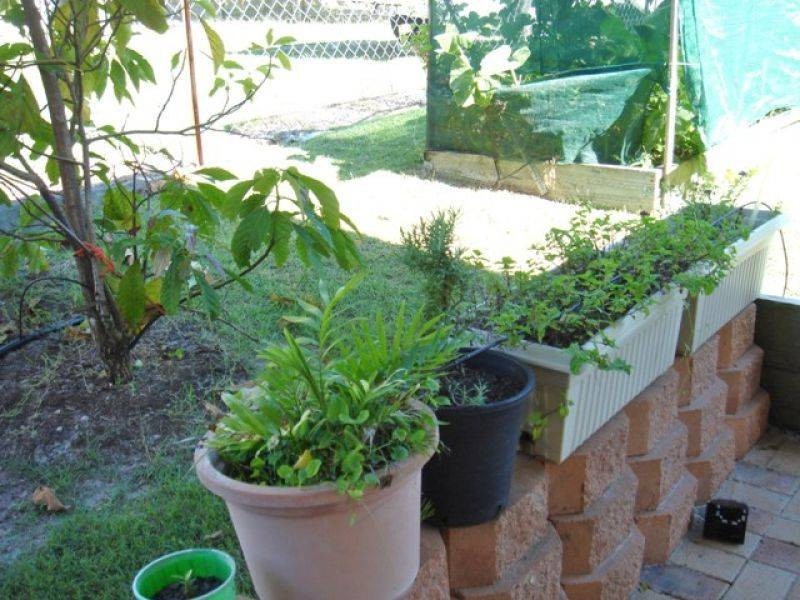 12 Manooka Drive, Rainbow Beach QLD 4581