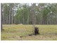2338 Bruce Highway, Gunalda QLD 4570