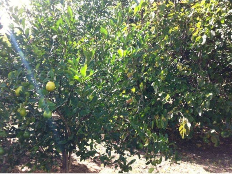 7-9 Bridge Street, Kilkivan QLD 4600