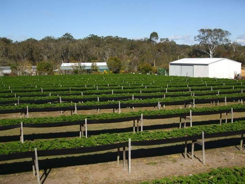 197 Stephan Road, Goomboorian QLD 4570