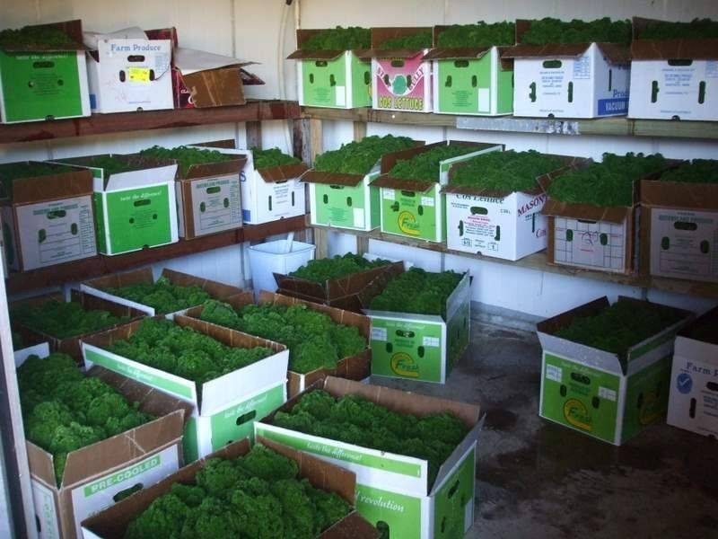 197 Stephan Road, Goomboorian QLD 4570