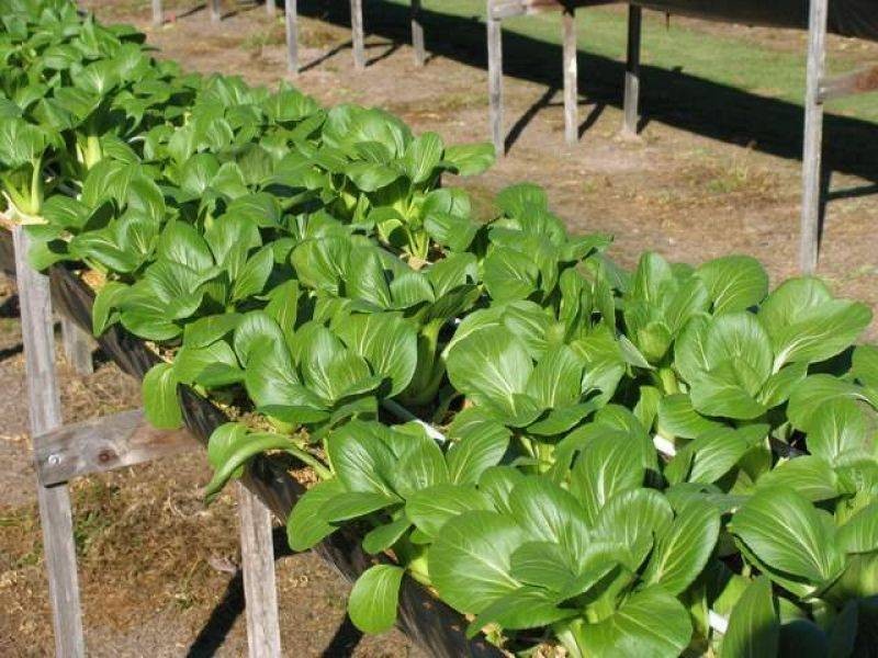 197 Stephan Road, Goomboorian QLD 4570