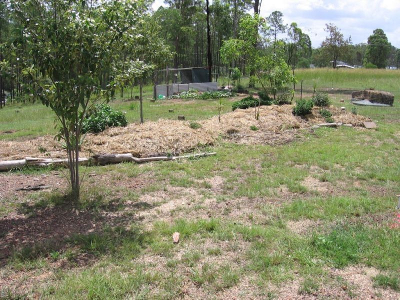 433 Arborfive Road, Glenwood QLD 4570