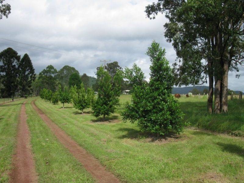 46 Rush Road, Imbil QLD 4570