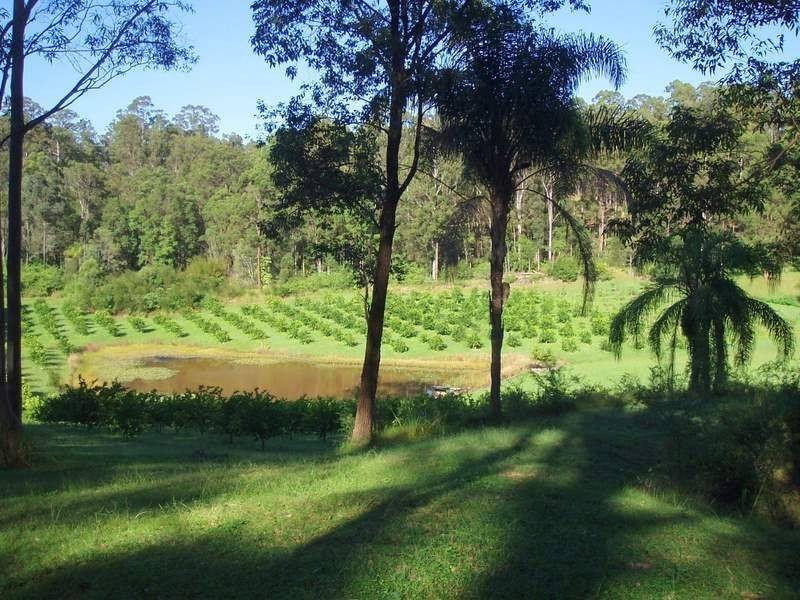 36 Gardner Road, North Deep Creek QLD 4570