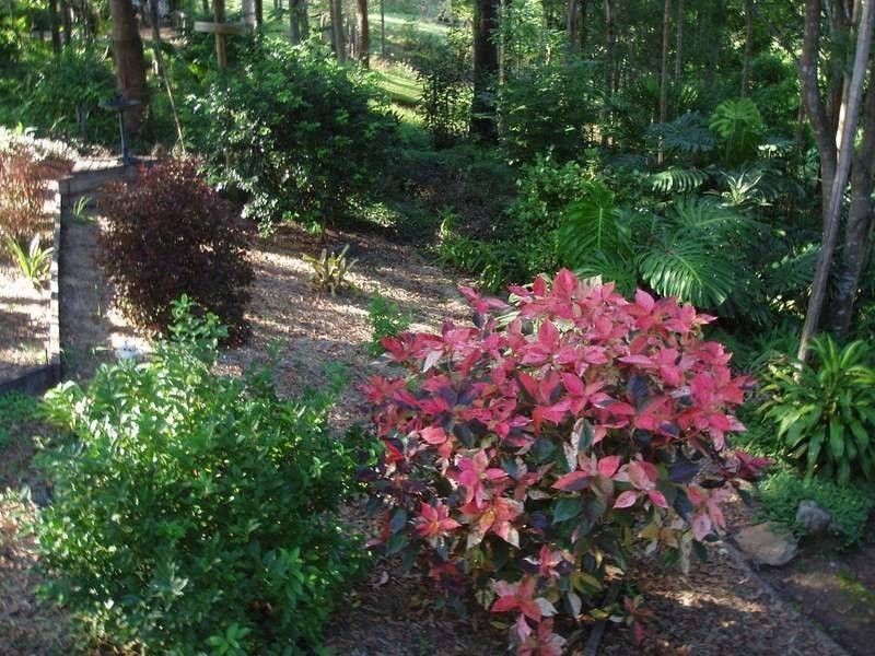 36 Gardner Road, North Deep Creek QLD 4570