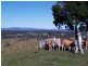 192 Percival Road, Chatsworth QLD 4570
