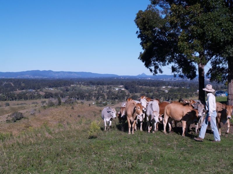 192 Percival Road, Chatsworth QLD 4570