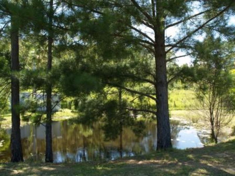 560 Eastern Mary River Road, Cambroon QLD 4552