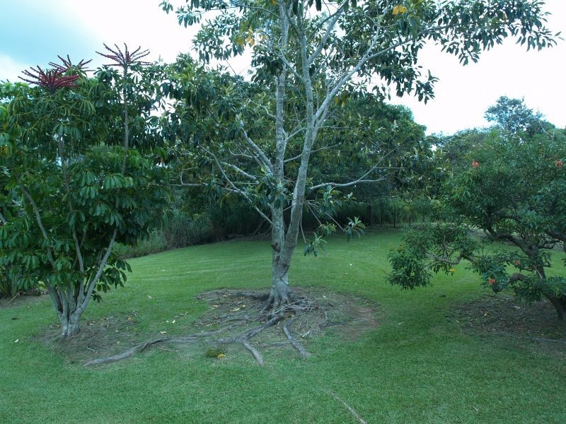 18 Robinsons Road, Kin Kin QLD 4571
