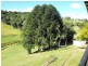 134 Allen Road, Chatsworth QLD 4570