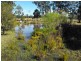 588 Curra Estate Road, Curra QLD 4570