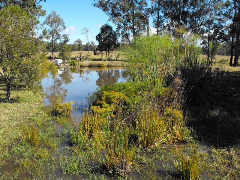 588 Curra Estate Road, Curra QLD 4570