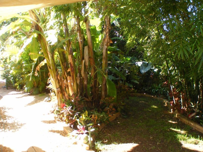 31 Annies Lane, Canina QLD 4570