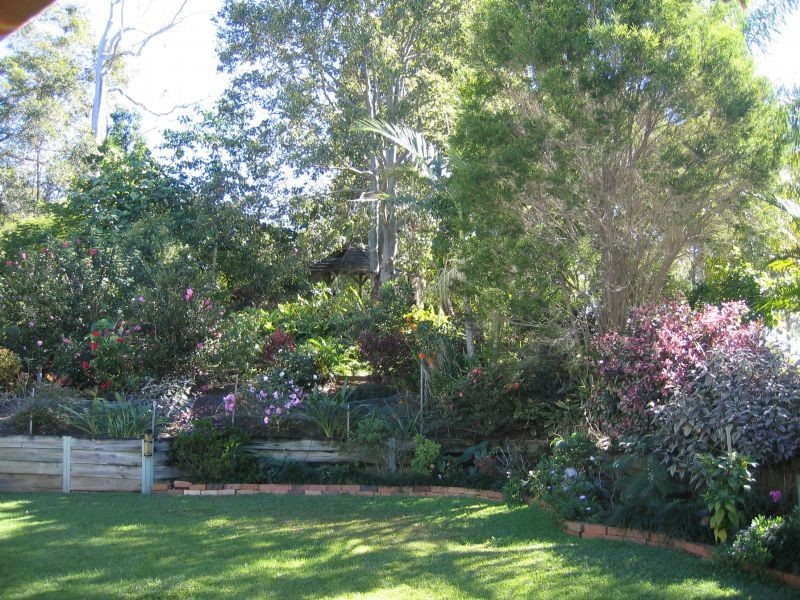 31 Annies Lane, Canina QLD 4570