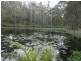 371 Nash Road, Tamaree QLD 4570