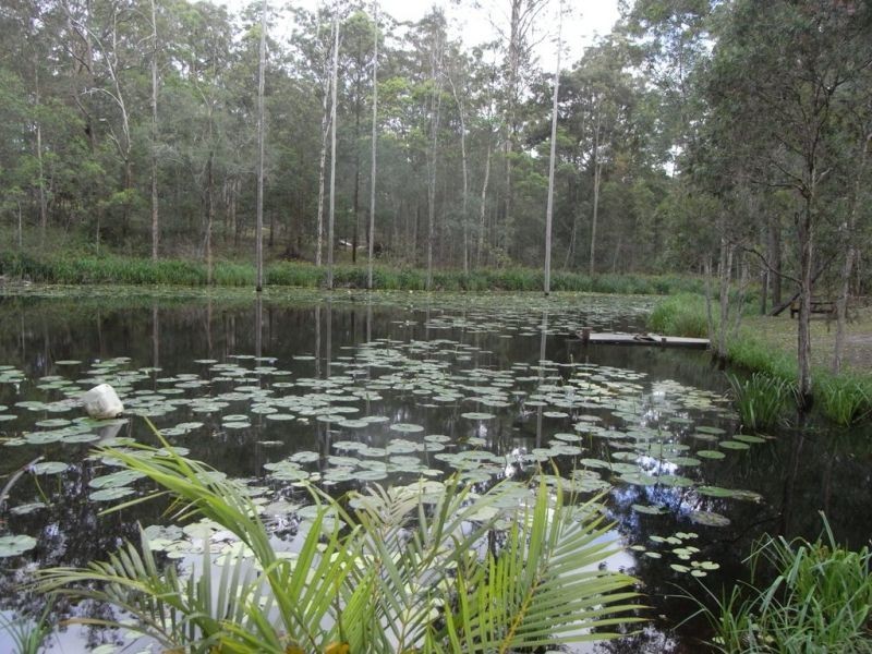 371 Nash Road, Tamaree QLD 4570