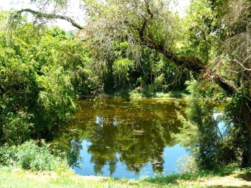 56 KIABORA Drive, Widgee QLD 4570