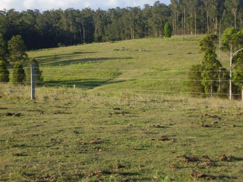 297 TAMAREE Road, Tamaree QLD 4570