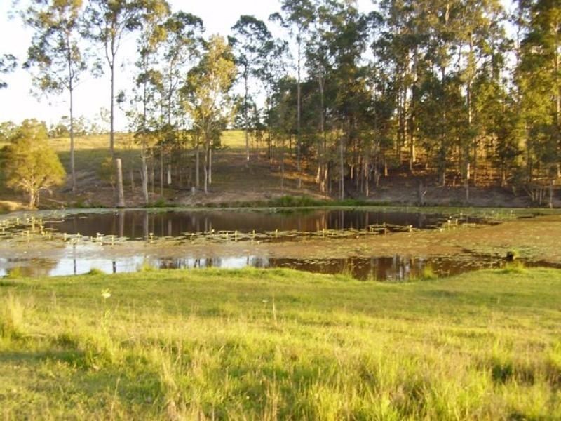 297 TAMAREE Road, Tamaree QLD 4570