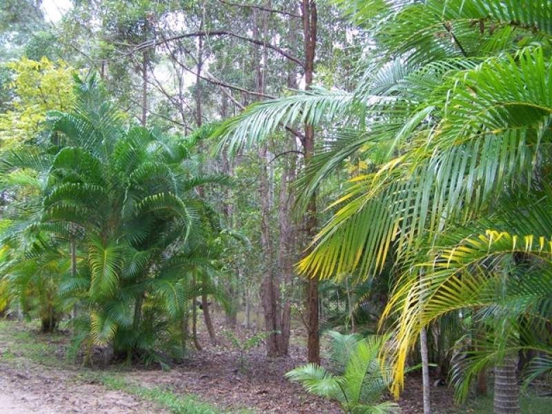 146 COUNTER Road, Wolvi QLD 4570
