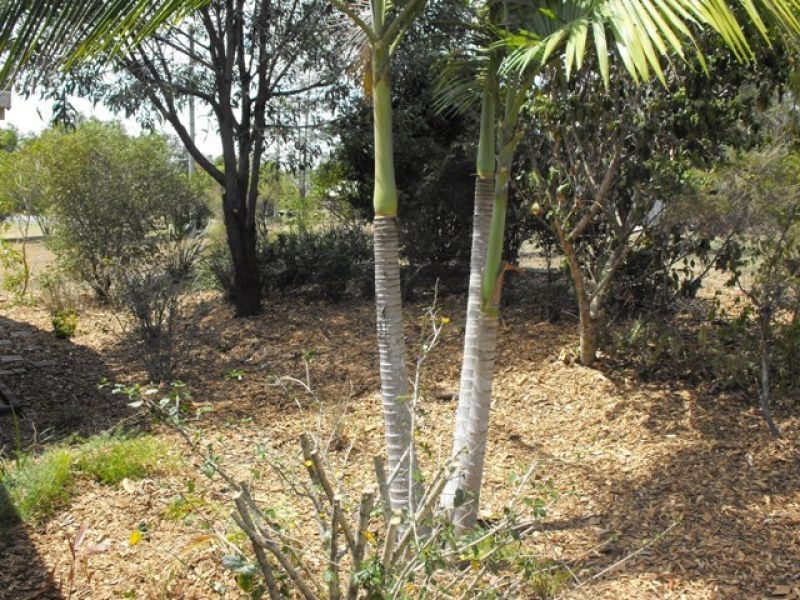 14 Australia Drive, Southside QLD 4570