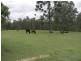 585 Glastonbury Road, The Palms QLD 4570