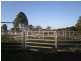 Belli Park QLD 4562