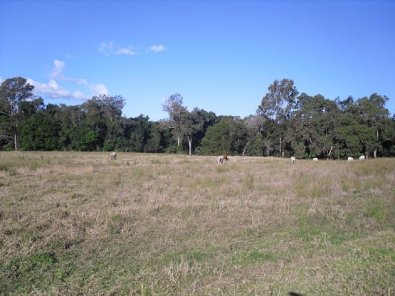 Belli Park QLD 4562