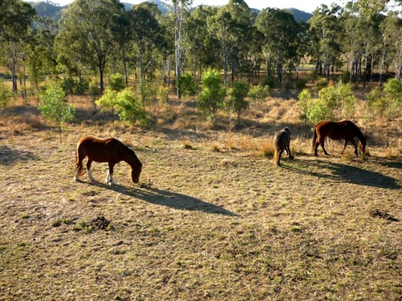 35 Barrett Road, Widgee QLD 4570