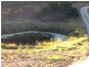 L11 Tunnel Road, Imbil QLD 4570