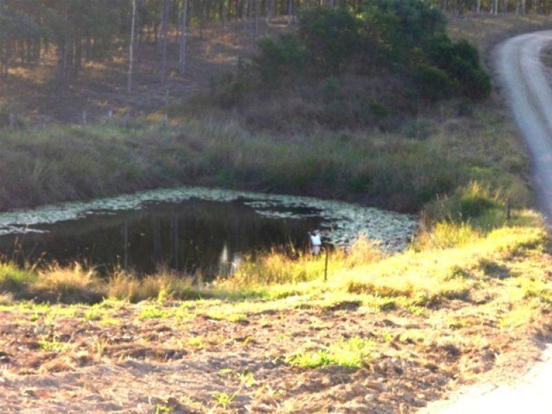 L11 Tunnel Road, Imbil QLD 4570