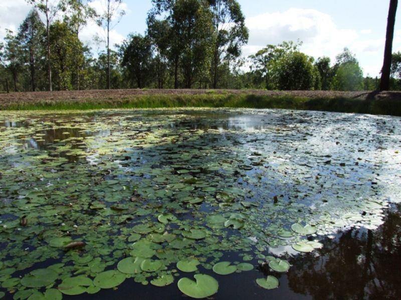 4 Jamie Avenue, Curra QLD 4570