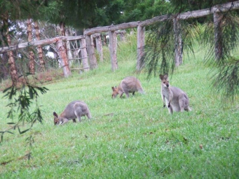 North Deep Creek QLD 4570